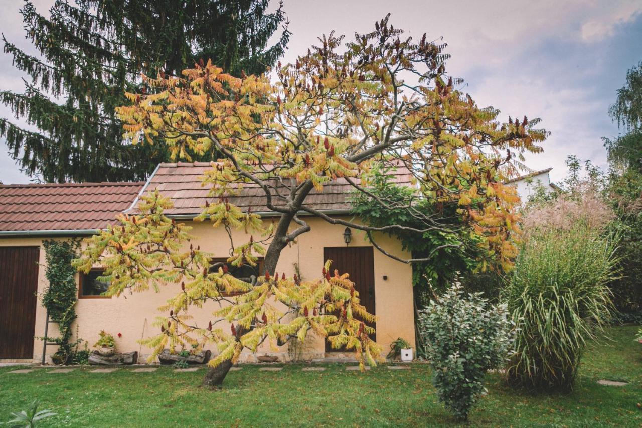 Pannonia Göd