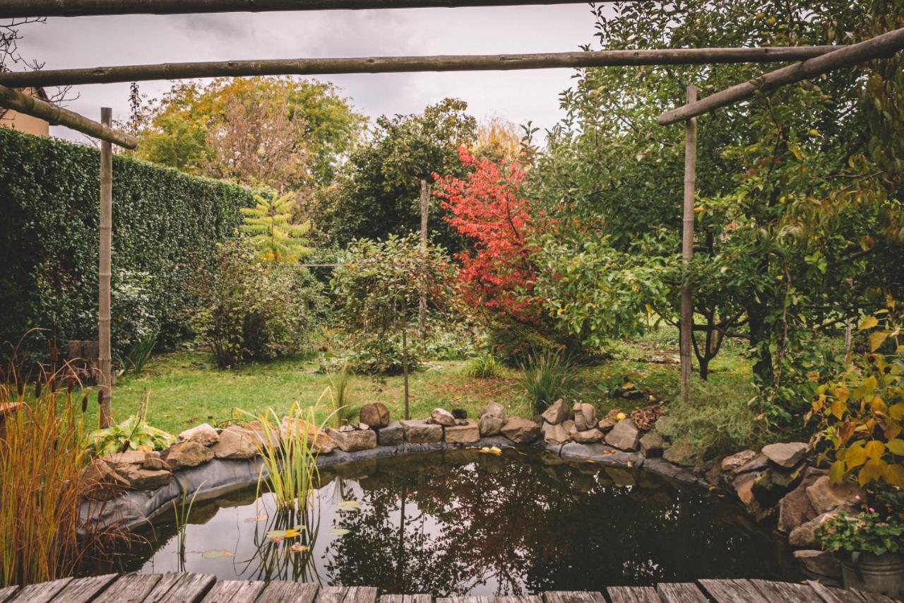 Pannonia Holiday home